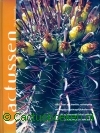 Vermeulen, N. - Cactussen (5e druk, Nieuw)